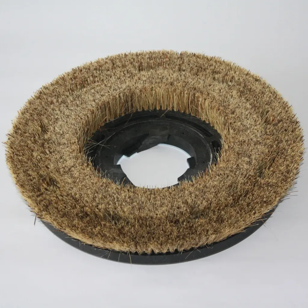 Brosse de polissage (Mexicaine Fibre)